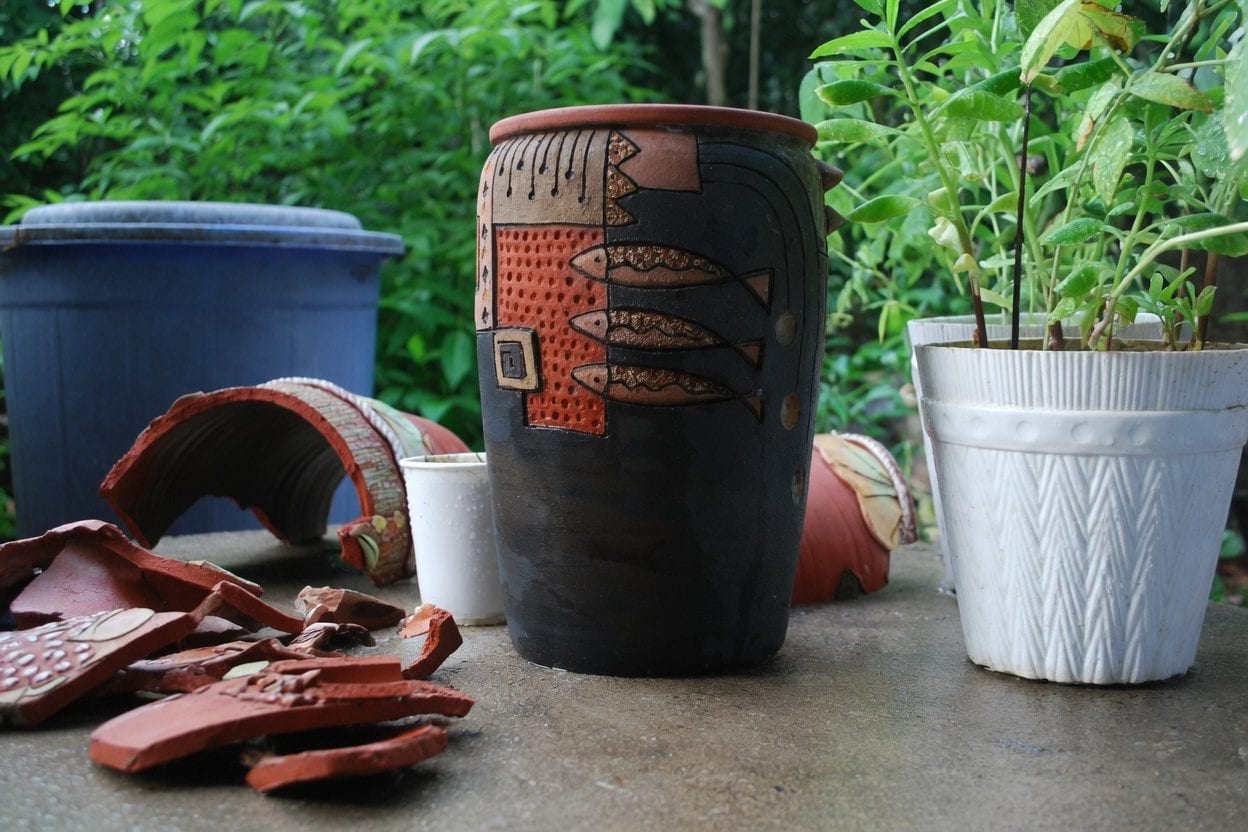 Tabletop with potted plants and gardening tools