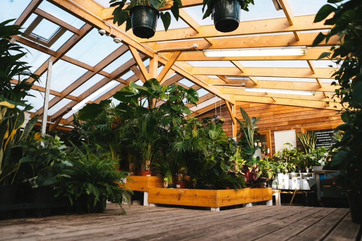 Plant Shops Ottawa: Best Nurseries and Houseplants