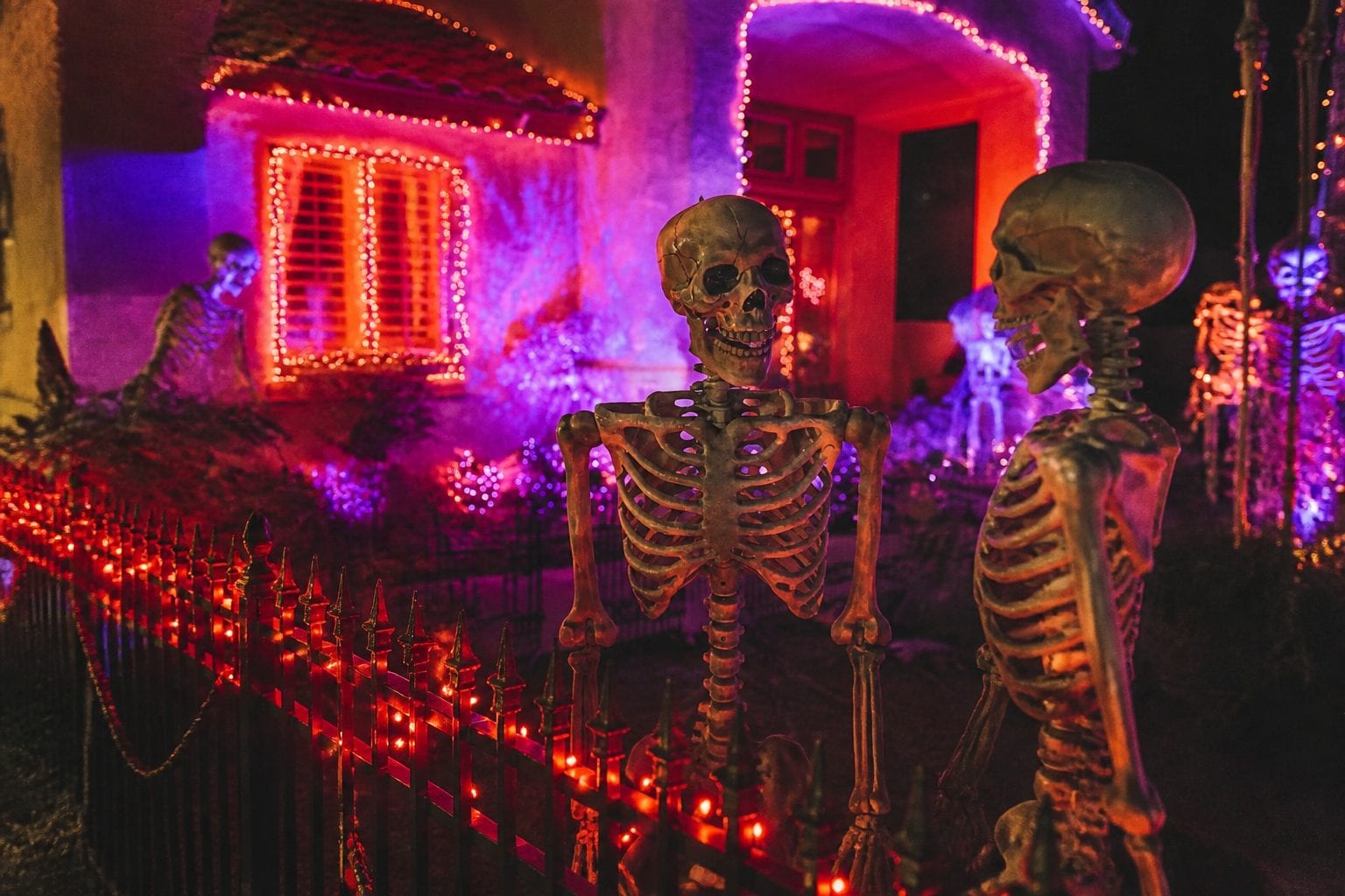 Cannamore Orchard spooky activities