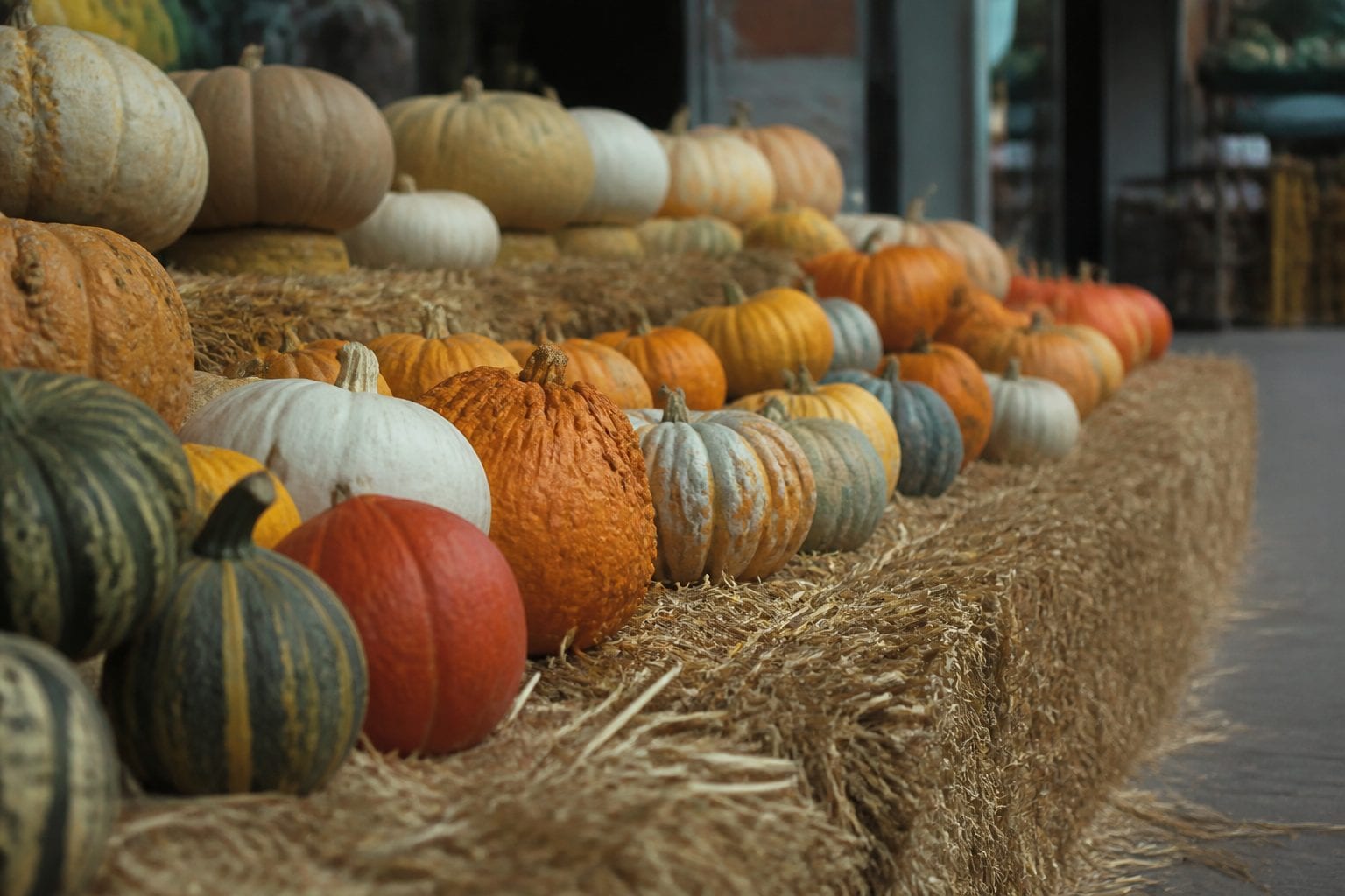 Different pumpkin varieties in a row