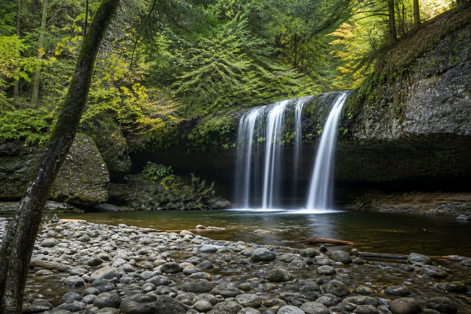Hog's Back Falls in Ottawa surrounded by natural forest