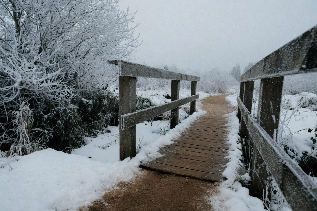 Snowy bridge in winter landscape.