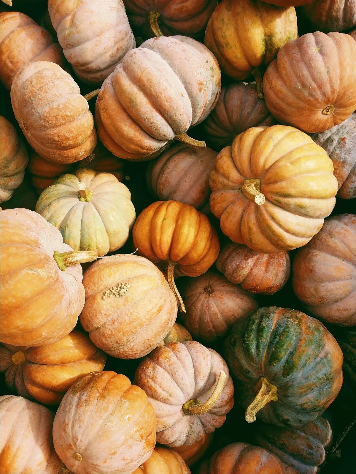 Autumn harvest market with pumpkins and fall decorations.