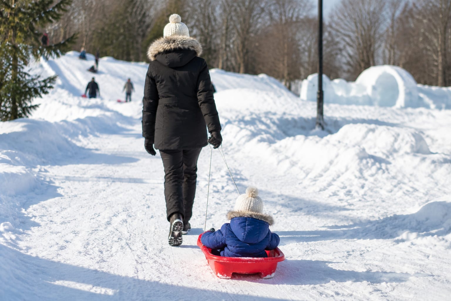 A parent pulling a small child on a sled past snow banks in a winter park in Gatineau