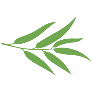Willow Wellness logo