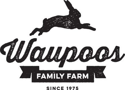 Waupoos Foundation logo