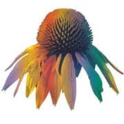 Nature Care Health Products logo